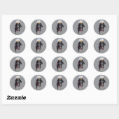 Teckel de Zee Captain Ronde Sticker (Vel)