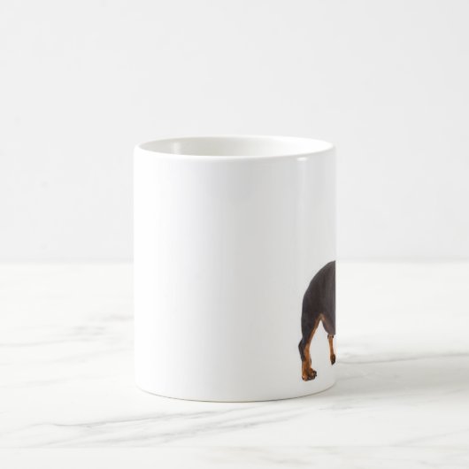 Teckel - Doxie - tasse de café (Centre)