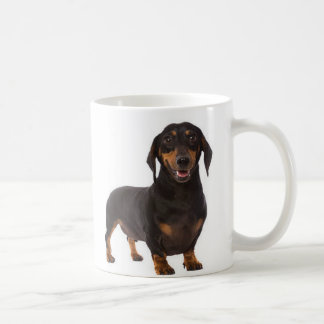Teckel - Doxie - tasse de café