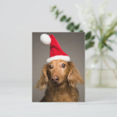Teckel draagt kerstmuts feestdagenkaart (Staand voorkant)