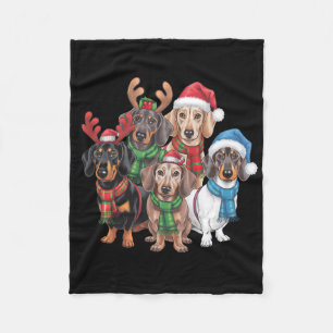 Teckel honden gekleed in feestelijke kleding fleece deken