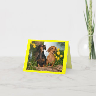 Teckel Puppy Dog Blank Note Kaart