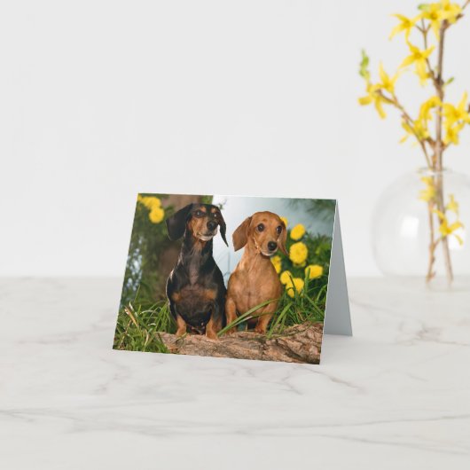 Teckel Puppy Dog Blank Note Kaart (Gele Bloem)