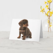 Teckel Puppy Wenskaart Kaart (Gele Bloem)