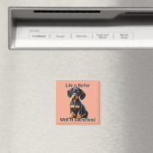 Teckel Puppy Zittend en Kijkend met Onschuldig Magneet (Insitu (Vaatwasser))