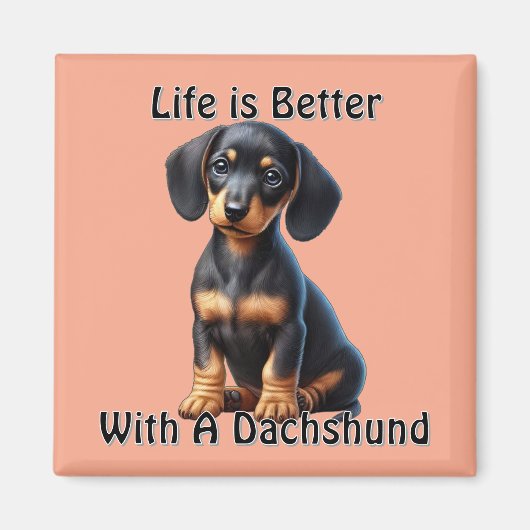 Teckel Puppy Zittend en Kijkend met Onschuldig Magneet (Voorkant)