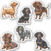 teckel Schattige Hondenliefhebber Sticker (Voorkant)