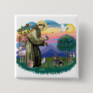 Teckel (zwart en bruin) vierkante button 5,1 cm