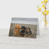 Teckels op het strand Kaart (Gele Bloem)