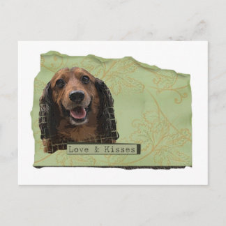 Teckle/Dachshund in de groenen Briefkaart