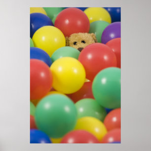 Ted dans le bassin à balles... affiche