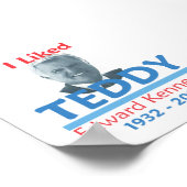 Ted Kennedy I LIKED TEDDY Poster (Hoek)