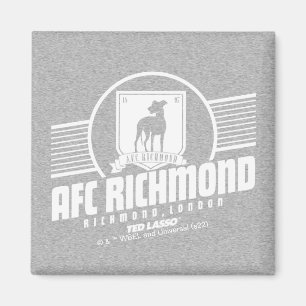 Ted Lasso AFC Richmond Athletic Stripe Graphic Magneet
