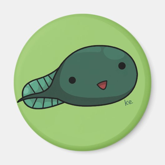 Ted Ted Magnet (Devant)