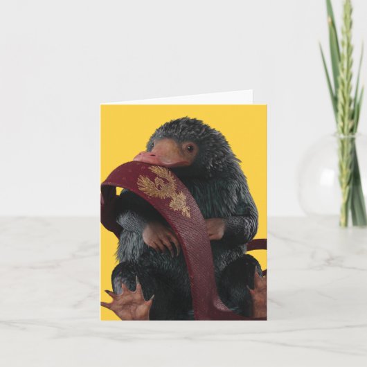 Teddy Avec Cravate Graphique (Devant)