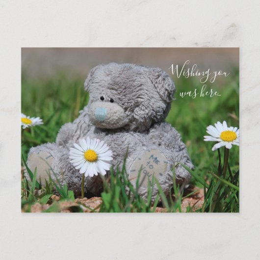 Teddy Bear Briefkaart (Voorkant)