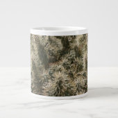 Teddy Bear Cactus Extra Grote Beker (Voorkant)