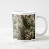 Teddy Bear Cactus Extra Grote Beker (Rechts)