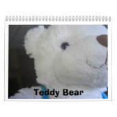 Teddy Bear Calendar Kalender (Hoes)