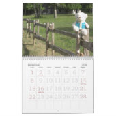 Teddy Bear Calendar Kalender (Feb 2026)