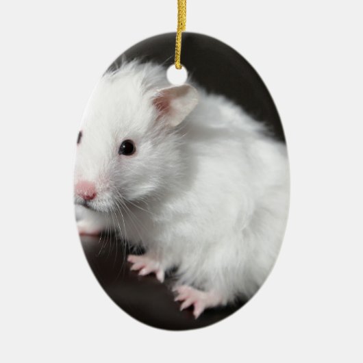 Teddy Bear Hamster Keramisch Ornament (Voorkant)