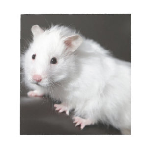 Teddy Bear Hamster Notitieblok