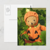 Teddy Bear in Pumpkin Patch Briefkaart (Voorkant / Achterkant)