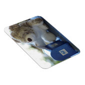 Teddy Bear Mails a Letter 2 Flexible Magnet (Côté Droit)