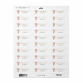 Teddy Bear Pink Balloons Retouradres label (Full Sheet)