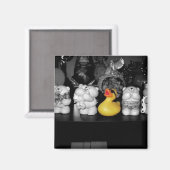 'Teddy Bear Pique-nique' Roubber Duck Magnet (Recto/Verso)