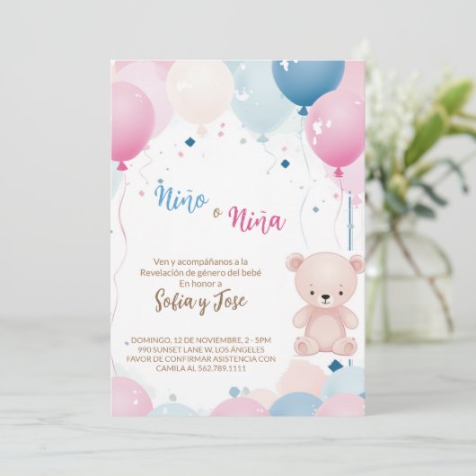 Teddy Bear Spaans Geslacht Onthullen Hij of Zij Kaart (Staand voorkant)