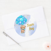 Teddy Bear Team Boy Gender onthulling feest Ronde Sticker (Envelop)