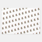 Teddy Bear Wrapping Paper Flat Sheet Set 3 (Voorkant 3)