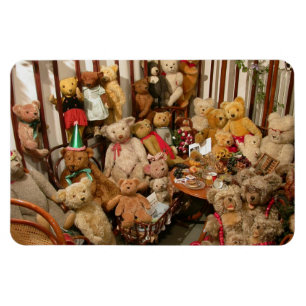 Teddy Bears Collectors Paradijs Magneet