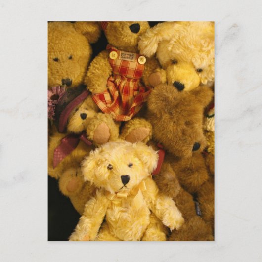 Teddy Bears Post Cards Briefkaart (Voorkant)