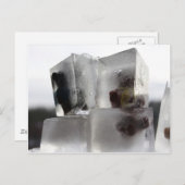 Teddy Briefkaart (Voorkant / Achterkant)