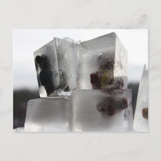 Teddy Briefkaart (Voorkant)