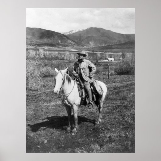 Teddy Goes Beer Hunting, 1905 Poster (Voorkant)