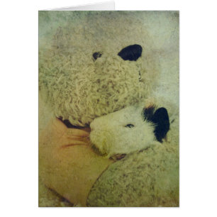 Teddy Hugs A Guinee Pig