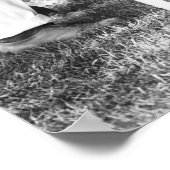 Teddy Roosevelt, 1912 Poster (Hoek)