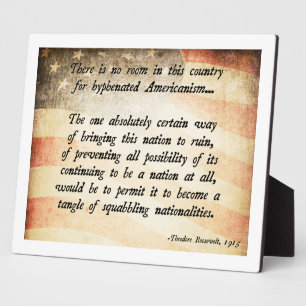 Teddy Roosevelt Quote Fotoplaat