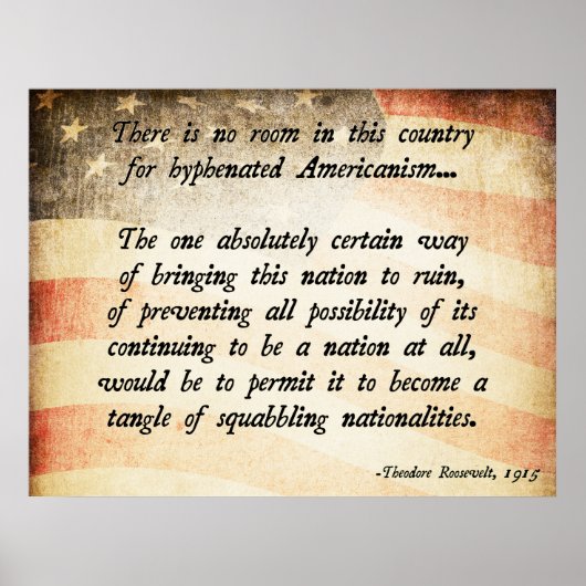 Teddy Roosevelt Quote Poster (Voorkant)