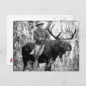 Teddy Roosevelt Riding A Bull Moose Briefkaart (Voorkant / Achterkant)