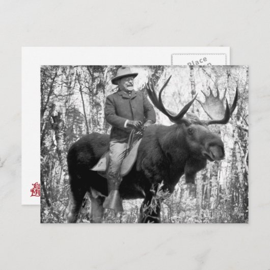 Teddy Roosevelt Riding A Bull Moose Briefkaart (Voorkant / Achterkant)