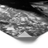 Teddy Roosevelt Riding Bull Moose Poster (Hoek)