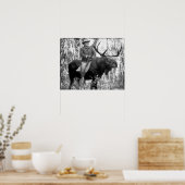 Teddy Roosevelt Riding Bull Moose Poster (Keuken)