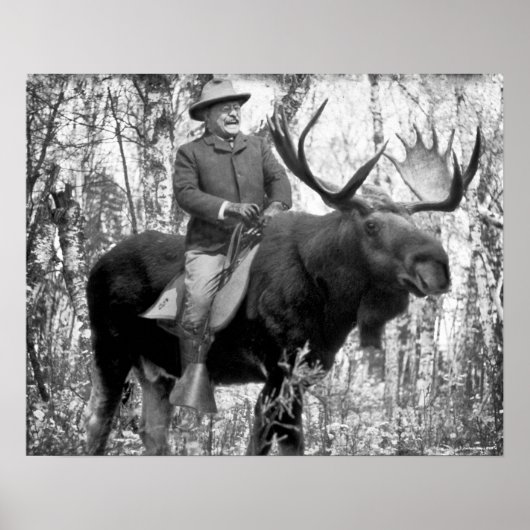 Teddy Roosevelt Riding Bull Moose Poster (Voorkant)