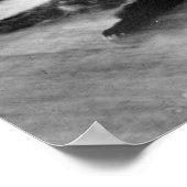 Teddy Roosevelt's Hunting Room, 1905 Poster (Hoek)