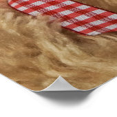 Teddy Time Poster (Hoek)