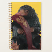 Teddy With Tie Graphic (Devant)